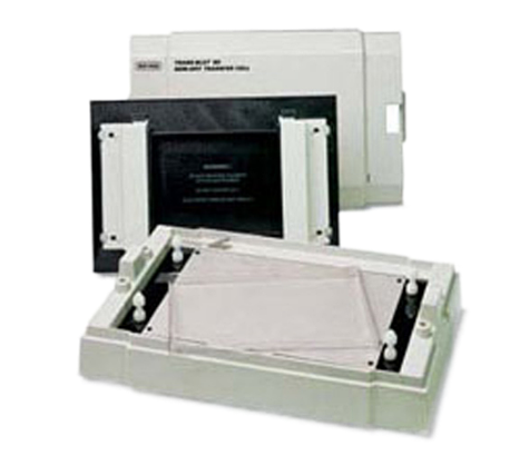 Trans-Blot SD Semi-DryTransfer Cell 半干转印仪